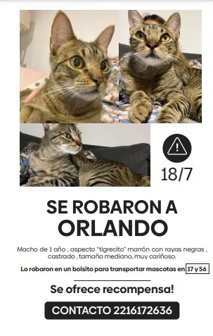 d5fa2289-86c8-4ba1-8b36-5b5ba6fc0fe4