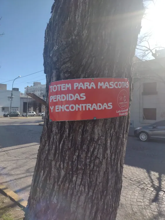 Imagen de WhatsApp 2023-08-28 a las 01.16.37