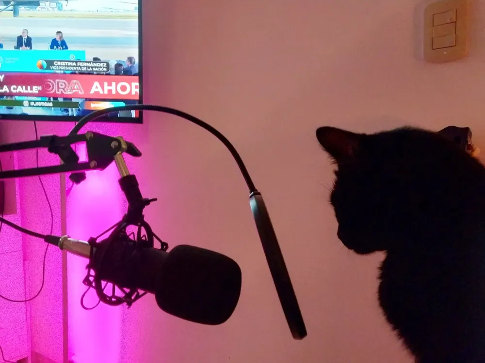 Imagen de WhatsApp 2023-07-07 a las 01.43.12