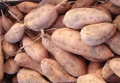 c21f8f96-5b60-4381-bfbc-47df4a5d21ce