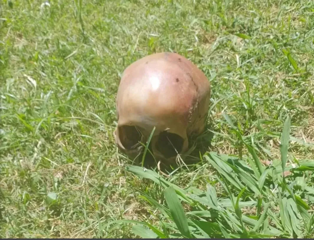 WhatsApp Image 2026-01-05 at 00.51.40