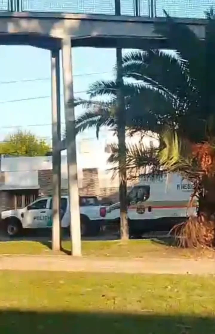 WhatsApp Image 2026-03-31 at 08.27.45