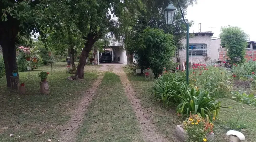 15 SEGUNDA