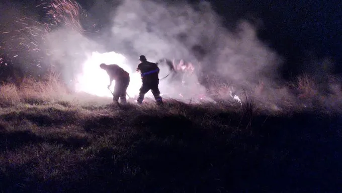 73f9a300-c8a6-4e38-af55-29679b370038