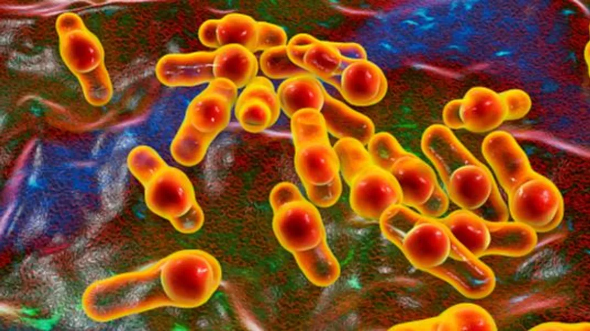 que-alimentos-presentan-otros-riesgos-de-botulismo-en-verano-y-como-podemos-prevenirlo_1874