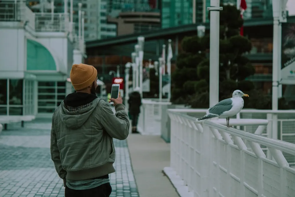pexels-erick-galván-13730522