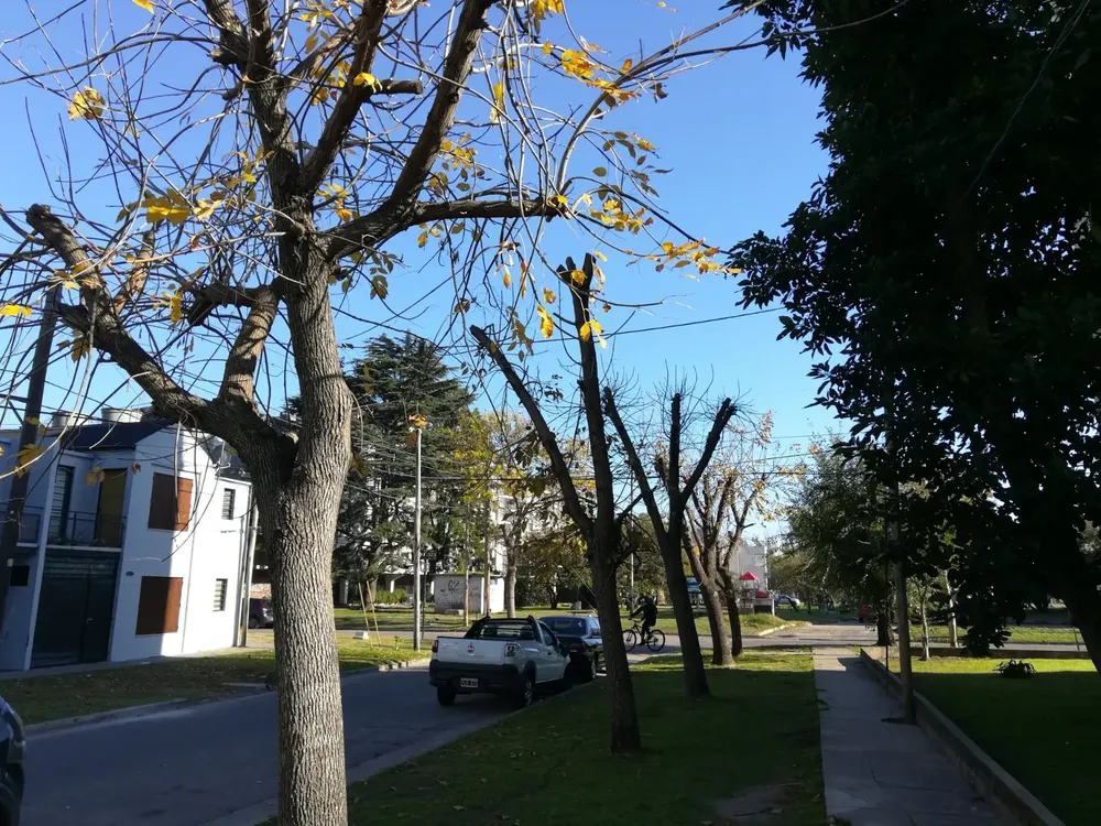 d83355fe-1dd0-4548-bb9f-fc6a65d486fc