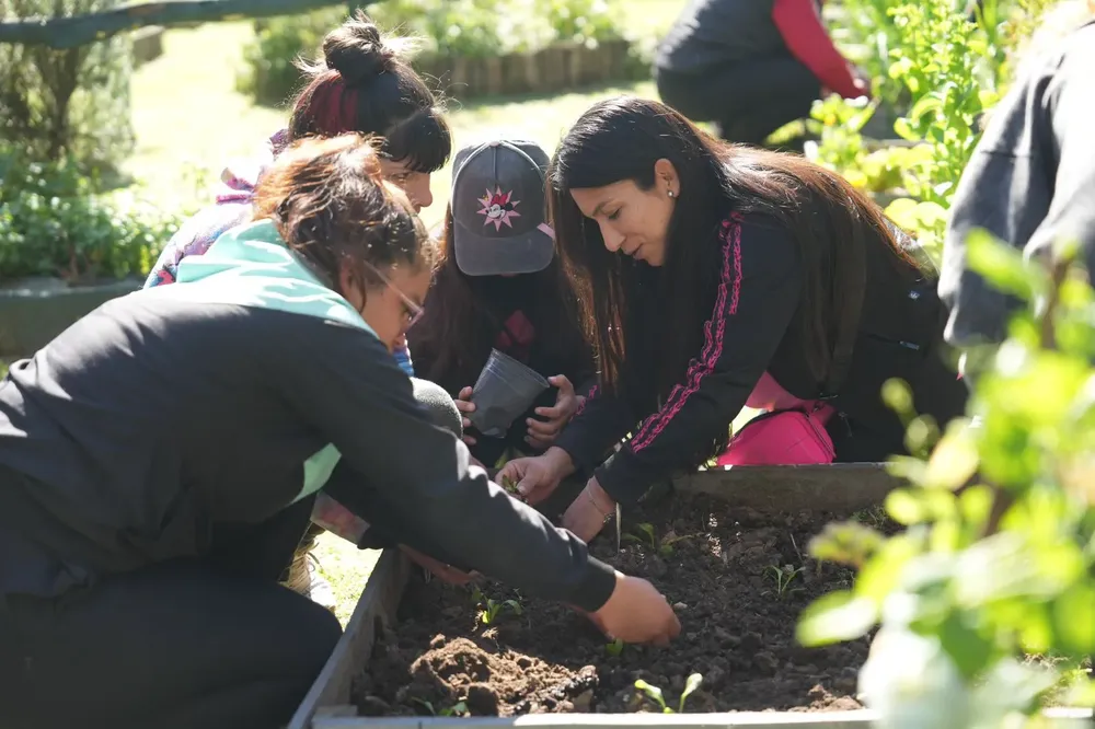 de9cfc3a-9889-4f61-84af-d75b5b15f87b