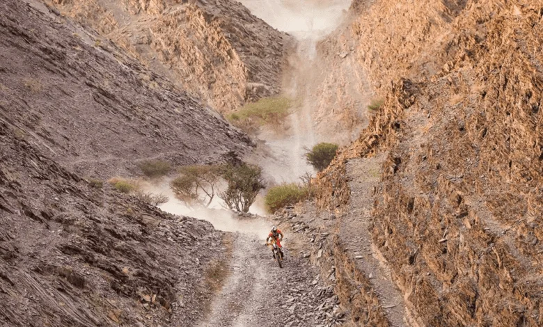 260105-sanders-780x470