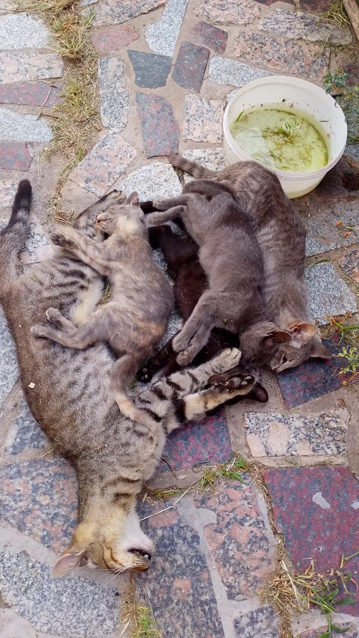 WhatsApp Image 2026-02-19 at 02.57.40 (1)