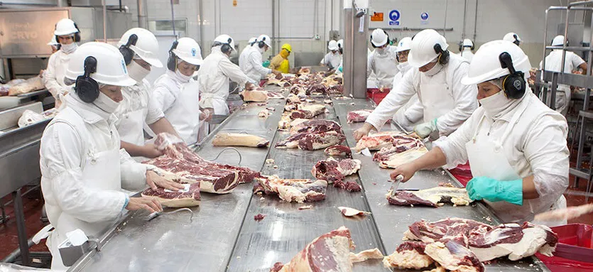 Capital 24 carne bovina