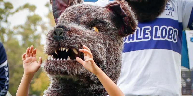 cd62aed31b76cd9a546a4d691149977a