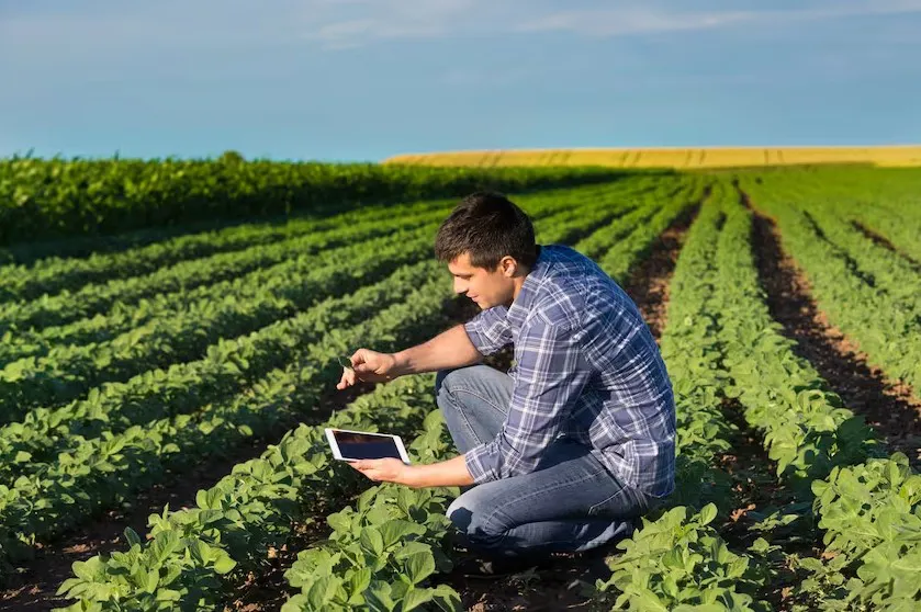 agronomo
