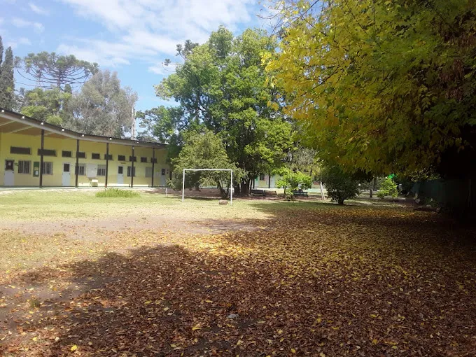 14 SECUNDARIA