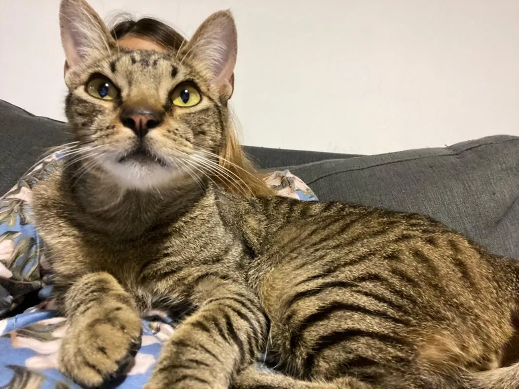 e0128ce9-15cf-42ed-a0ea-04ea2d366504