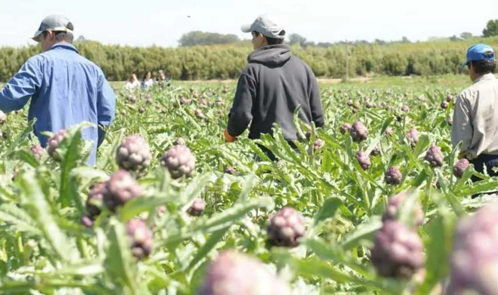 productores-periurbanos-1