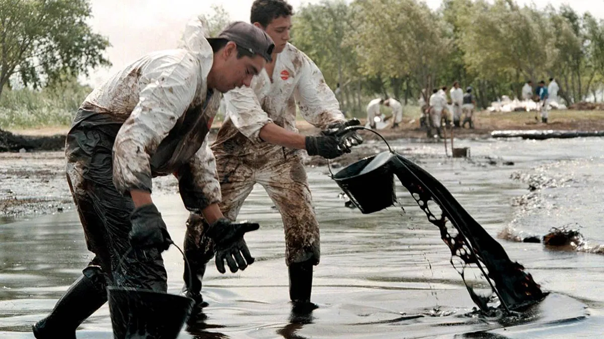 WhatsApp Image 2026-02-04 at 00.44.24