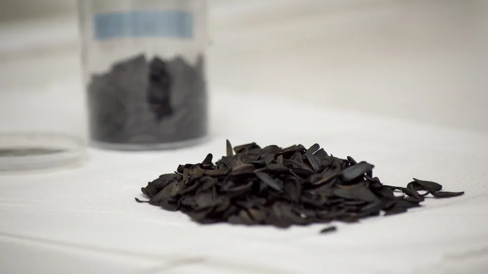 Capital 24 Arsénico